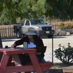 Cambria_0412 (November 01, 2013)